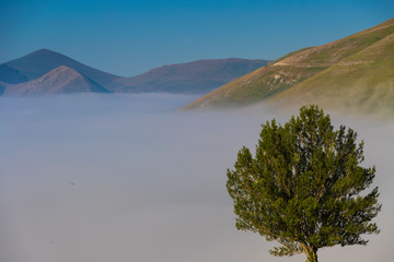 Plans Castelluccio in Italy