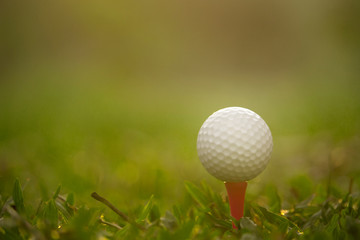 golf ball on tee in a beautiful golf course with morning sunshine