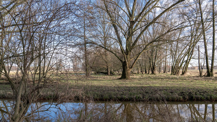 Spreewald im Februar