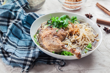 Delicious duck noodle soup