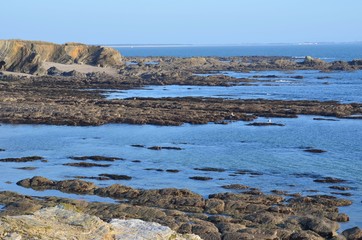Piriac sur Mer, Loire Atlantique, France