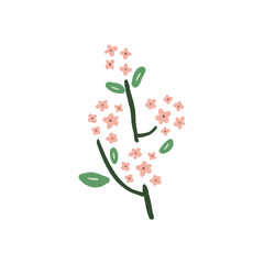 Hand drawn flowers with branches. Pastel colors, bouquet in doodle style. Vector plants