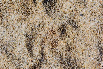 beach sand, pebble background