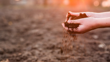 The hands of the farmer crush with pour out the soil over the field. Spring work