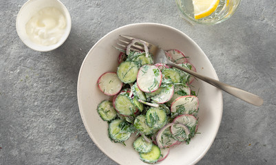 Healthy summer salad bowl radish cucumber yogurt top view