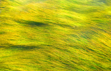 Abstract backgrounds in vibrant color