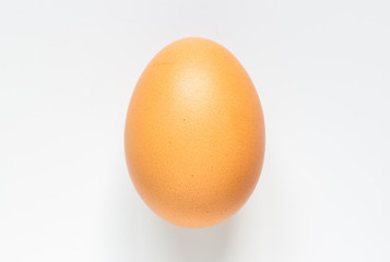 Chicken egg on white background