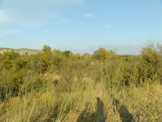 Obraz premium DIGITAL CAMERA