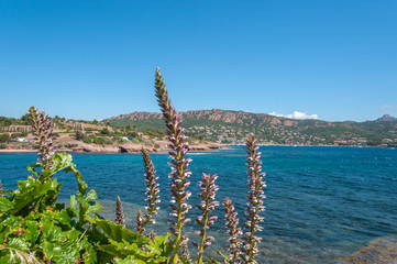 Coastal landscape near Antheor