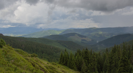 Fototapeta na wymiar Trekking in the Carpathians through Petros to Hoverla along the Montenegrin ridge to Pop Ivan