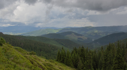 Fototapeta premium Trekking in the Carpathians through Petros to Hoverla along the Montenegrin ridge to Pop Ivan