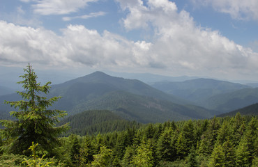 Trekking in the Carpathians through Petros to Hoverla along the Montenegrin ridge to Pop Ivan