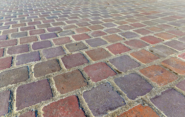 colors bricks of a terrace pavement