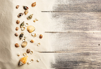 Top view of shells on the sand