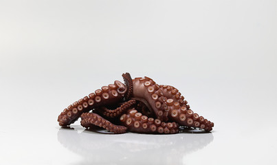 Octopus Seafood Krake Fisch  kochen