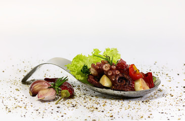 Octopus Seafood Krake Fisch  kochen