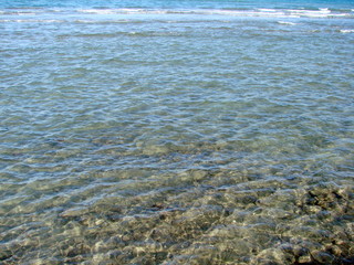 Natural picture of the seabed through the prism of a clean water surface under the reflections of sunlight in the hot autumn.