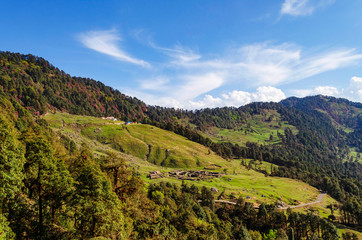 Obraz premium Grassland of Chopta, Garhwal, Uttarakhand, India.