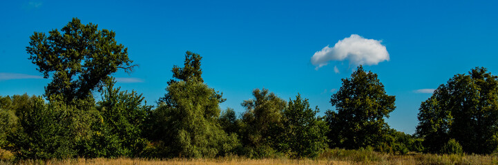 White cloud landscape with deciduous forest and meadow on a sunny day.Web banner.