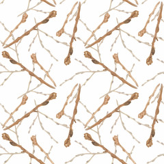 Set of handdrawn watercolor tree branches, springtime illustration, isolated objects on the white background, floral clipart illustration for any design purposes