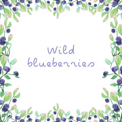 Wild blueberries frame