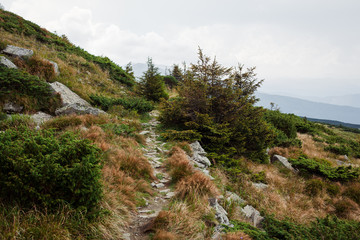 footpaths in the morning mountains