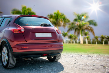 Summer car and palms background. 