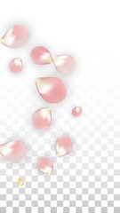 Vector Spring or Summer Sale Background with Petals and Percent for Template Design. Good for Special Hot Holiday Discount Offer, Black Friday, Fashion Promotion Action. Romantic Sakura Illustration