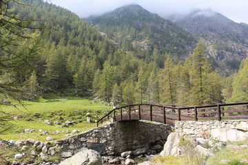 Naklejka premium park gran paradiso 2017