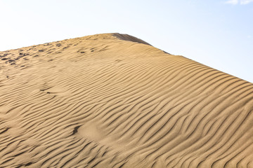 Summer background of sand on beach and free space for your decoration. 