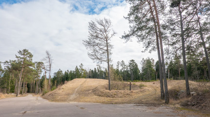 spring landscape with hill