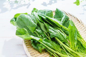食材 ほうれん草