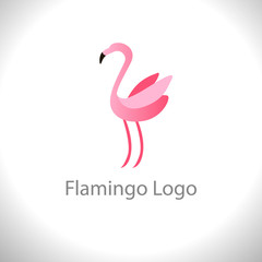 Flamingo design vector template.