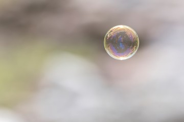soap bubbles flying in the air