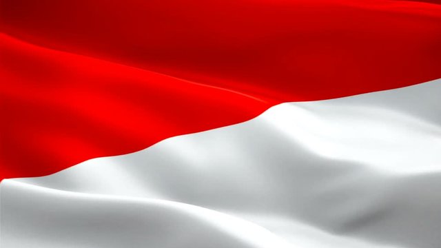 Monaco waving flag. National 3d Monaco flag waving. Sign of Monaco seamless loop animation. Monaco flag HD resolution Background. National flag Closeup 1080p Full HD video for presentation