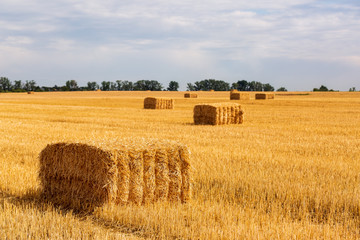 Fototapeta na wymiar Landscape with bales of straw on the field