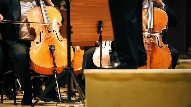 Violin players hand detail during philharmonic orchestra performance