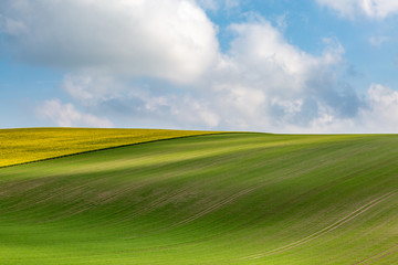 Shadows from clouds over green and yellow fields, in the Sussex countryside