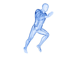 3d rendered illustration of a joggers skeleton