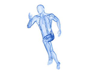 3d rendered illustration of a joggers skeleton