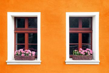 Fototapeta na wymiar Orange paint wall background with two windows and boxes full of pink flowers. 