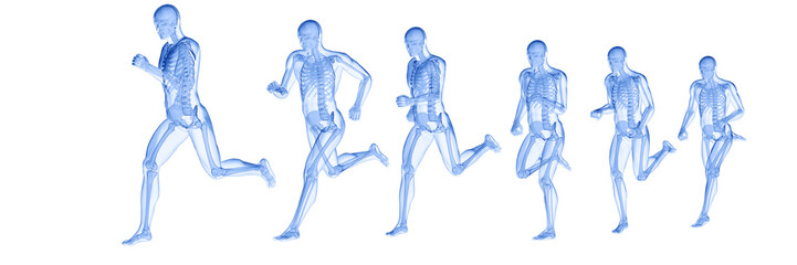Fototapeta na wymiar 3d rendered illustration of a running mans skeleton