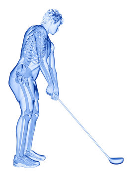 3d rendered medically accurate illustration of the skeleton of a golf player