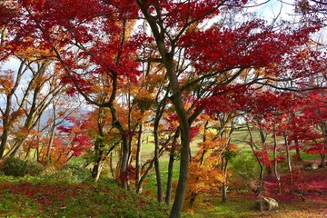 Fototapety  《Ikeda Gardens Hotta Branch》 Miasto Daisen, Prefektura Akita