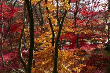 《池田氏庭園 払田分家》秋田県大仙市