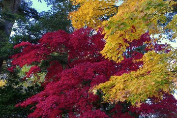 《池田氏庭園 払田分家》秋田県大仙市