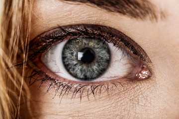 Close up view of female blue eye. Eyesight concept.