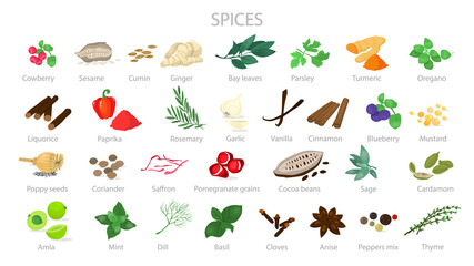 Spice for cooking the delicious food collection