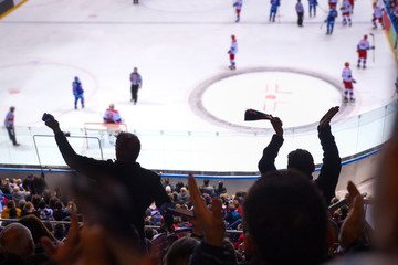 Fototapeta na wymiar Fans support team, ice hockey match