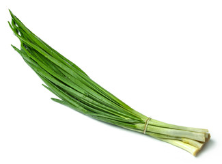 A bunch of fresh green onions isolated on a white background. Top view diagonally.